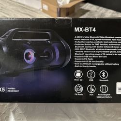 Maxwest Speakers 2 Of Them