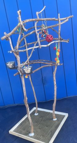Custom Made Parrot Perch Tree … Hard Durable Ribbon Wood - Lasts For Years … Yes We Deliver !!❤️