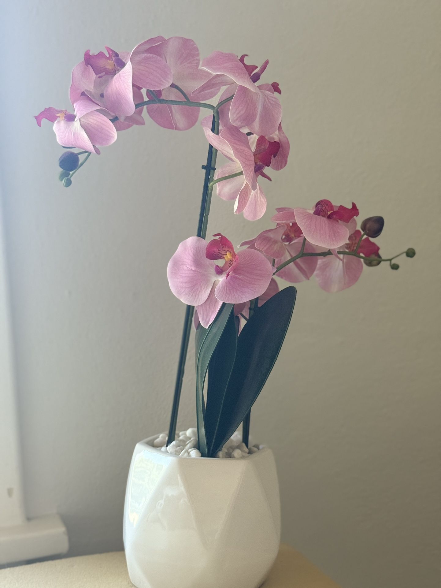 Fake Plant