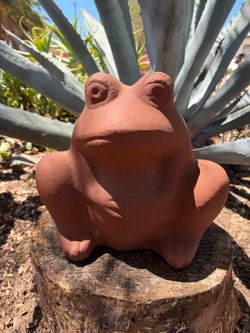 Terracotta Frog Pot Planter