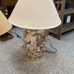 Shell  Lamp