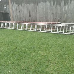 40 Ft ladder