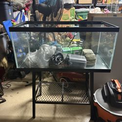 40 Gallon Tank, With Metal Stand . Filter And Supplies 