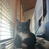 Maggie