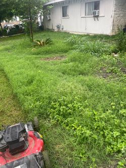 Landscaping
