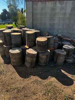 PALM TREE STUMPS