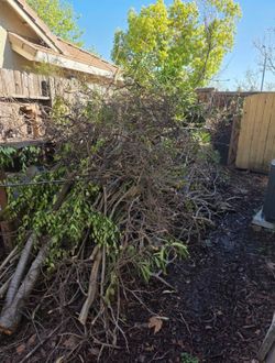 Junk/removed/gone