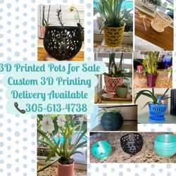 Pots for Plants, Orchid and flower pots 