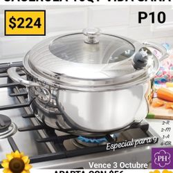 Olla De 10 Qt Vida Sana Princess house