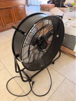 Fan