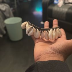 shell necklace 