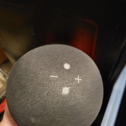 Echo Dot