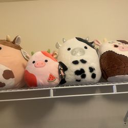 Squishmallow Cow Bundle (read Description)