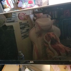 Hp Computer Monitor 2009m