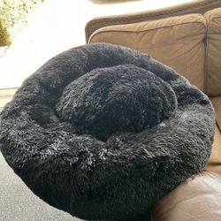 Dog Bed