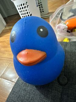 Squeezy duck