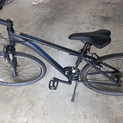 Schwinn GTX 3 Bike 