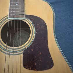 Guitar