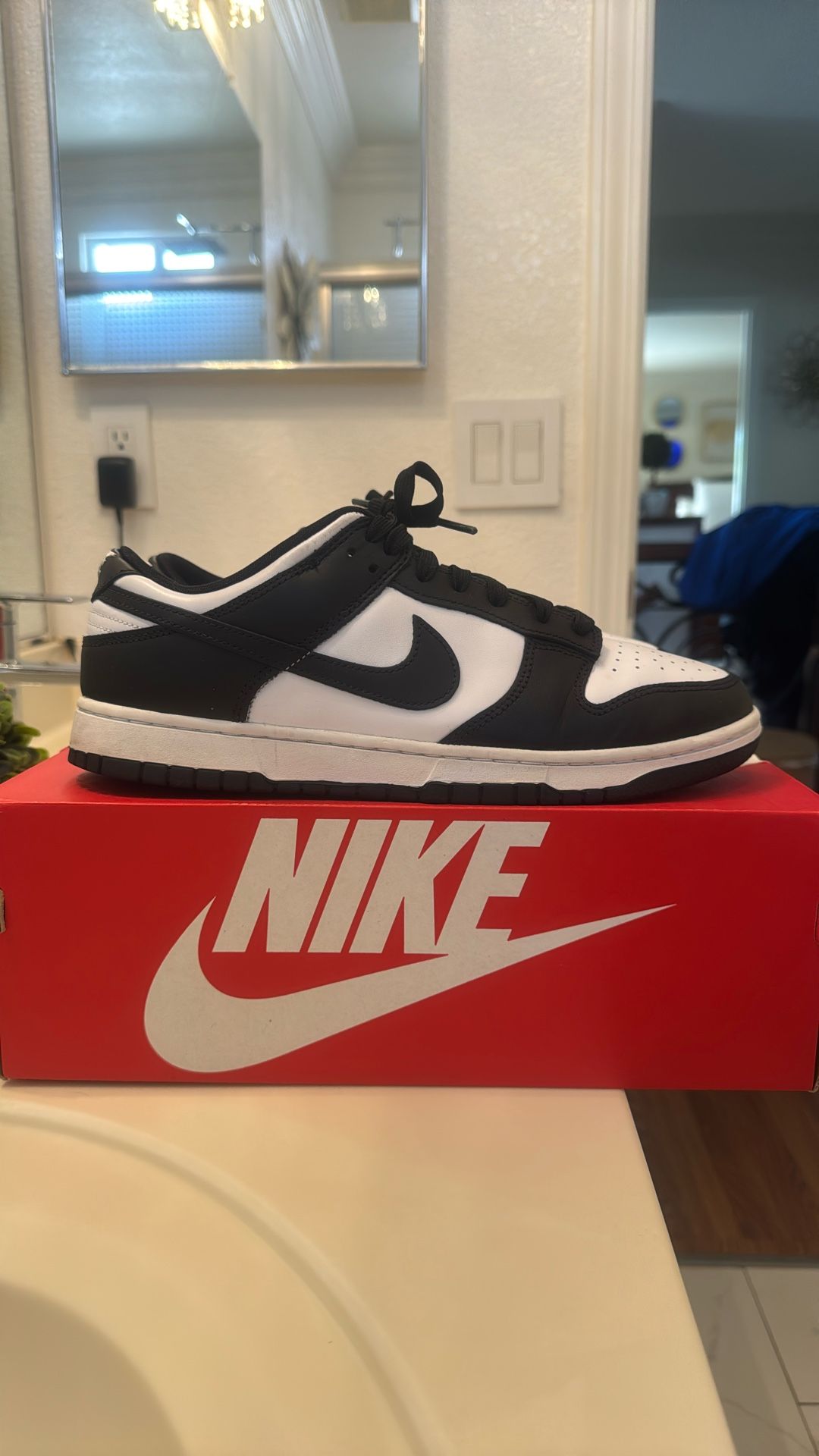 Nike Panda Size 11