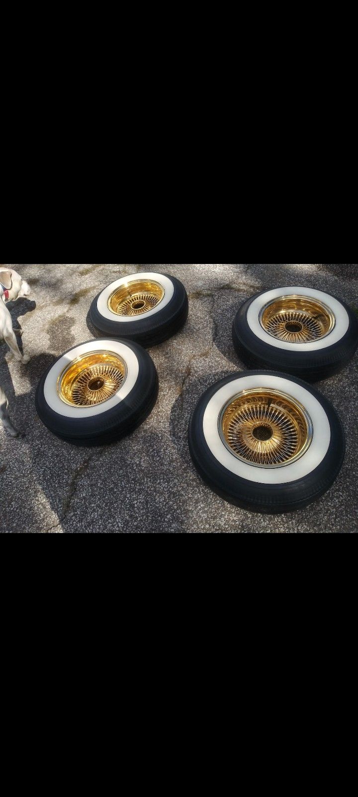All Gold Real Stamped Dayton's