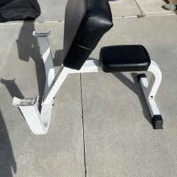 Preacher Curl Bench
