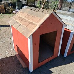 Dog House 