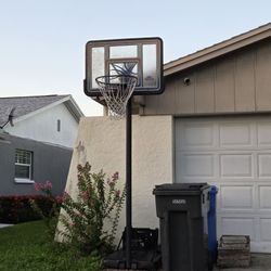 Basketball Hoop