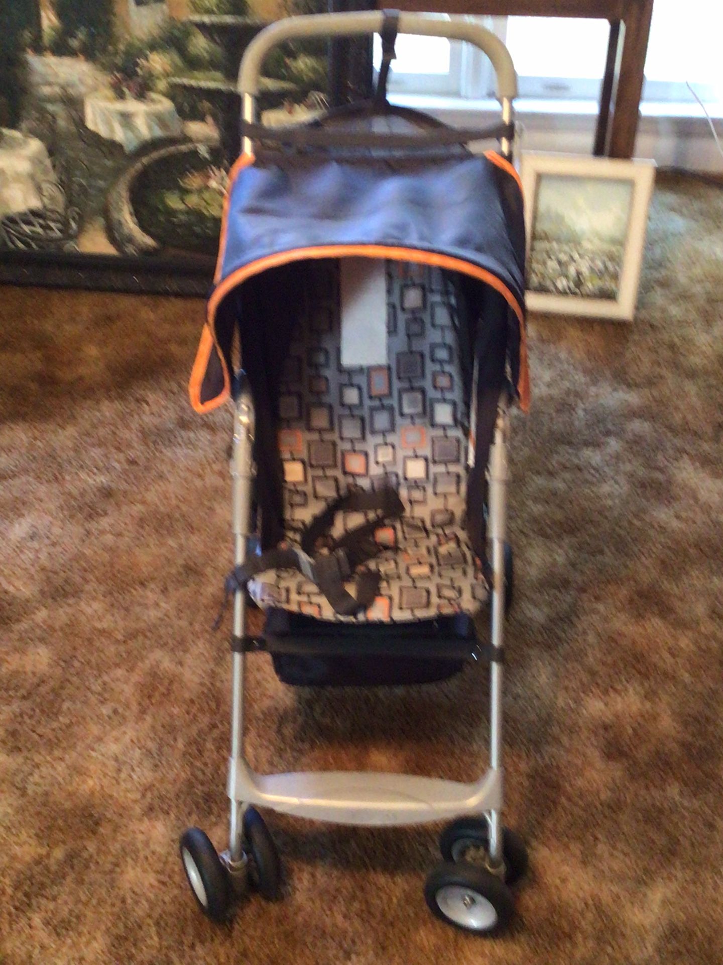 Front Facing Stroller