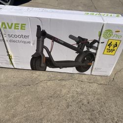 Electric Scooter 