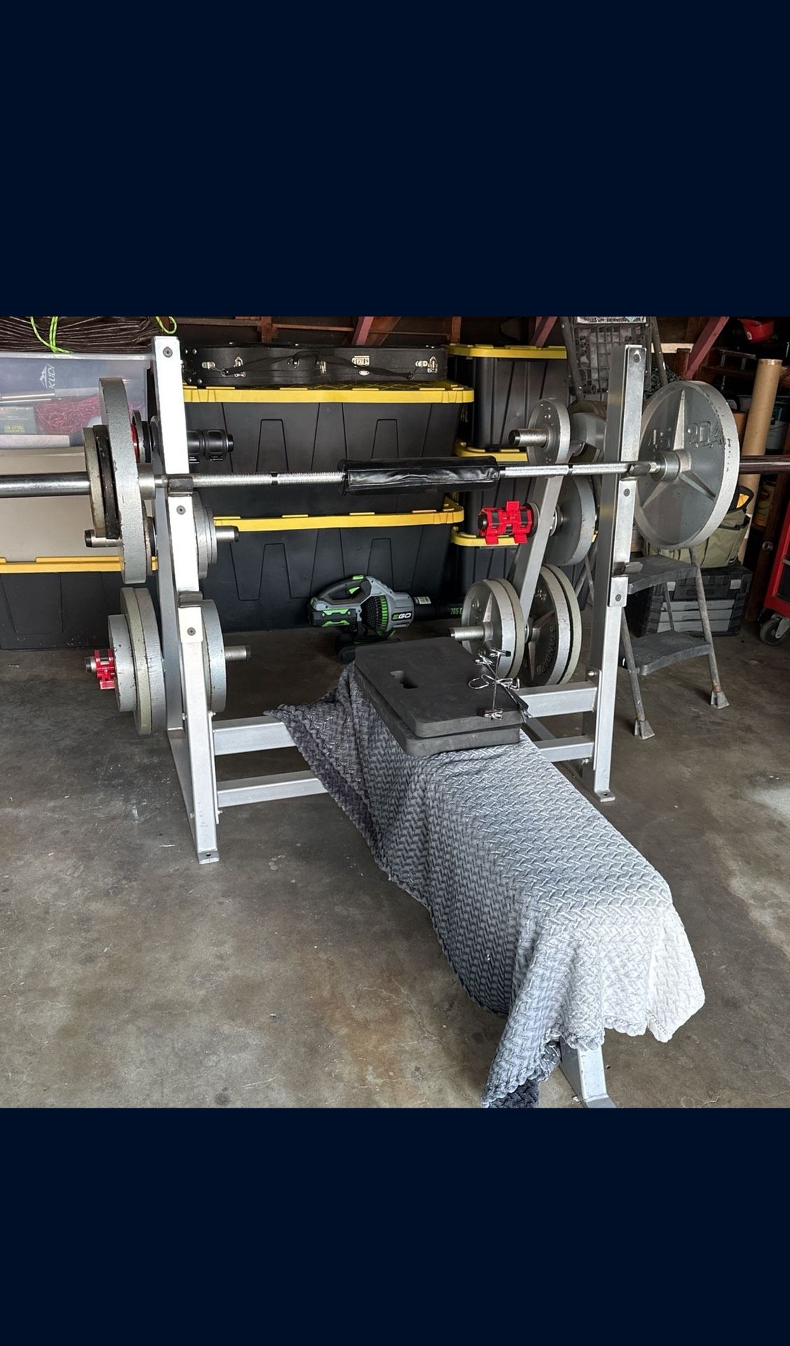 💪 Olympic Weights - 290lbs Weight Set