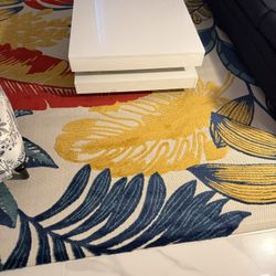 Outdoor and Indoor  Rug 