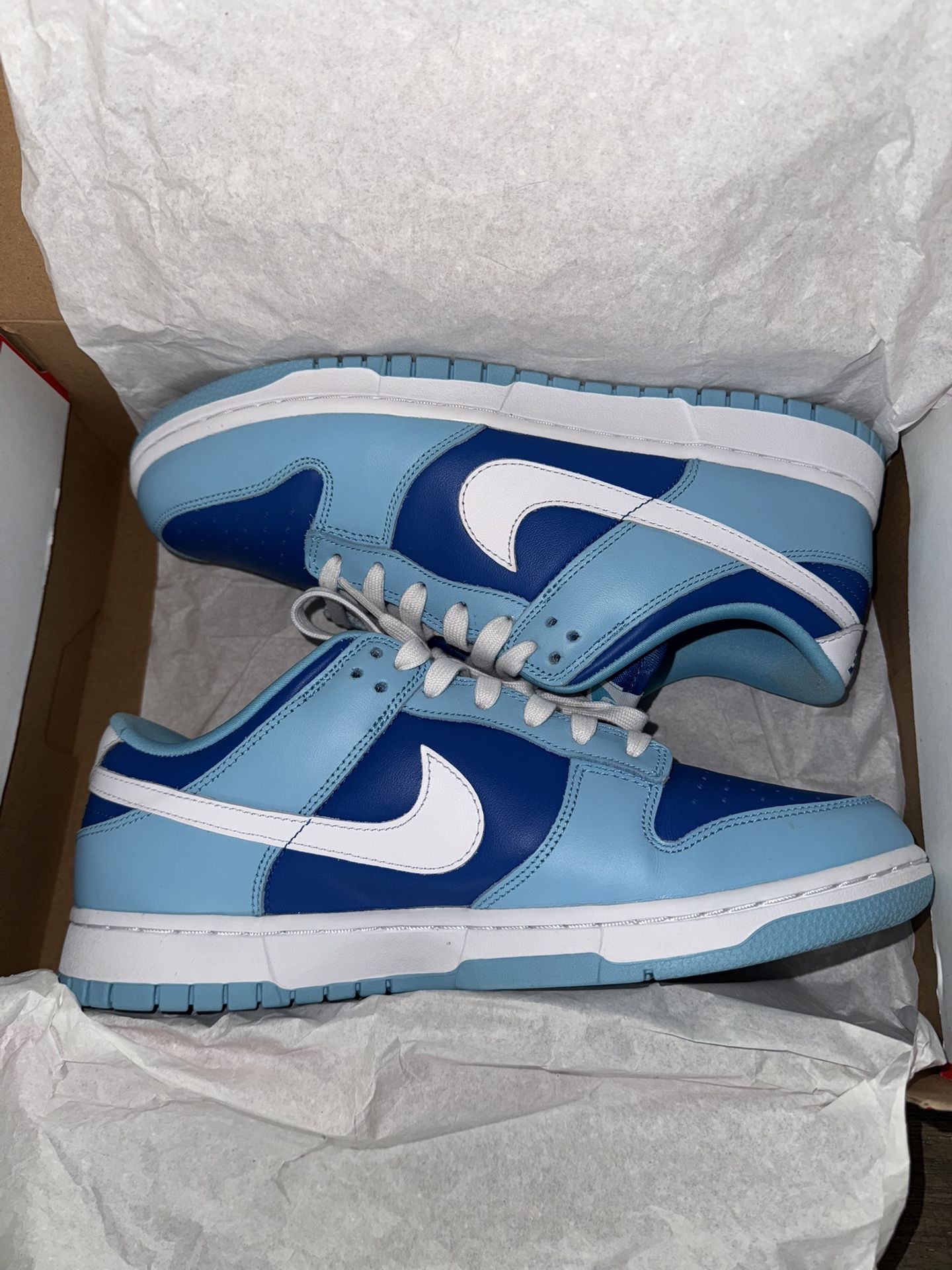 Argon Nike Dunk Low