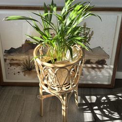 Rattan Plant Stand