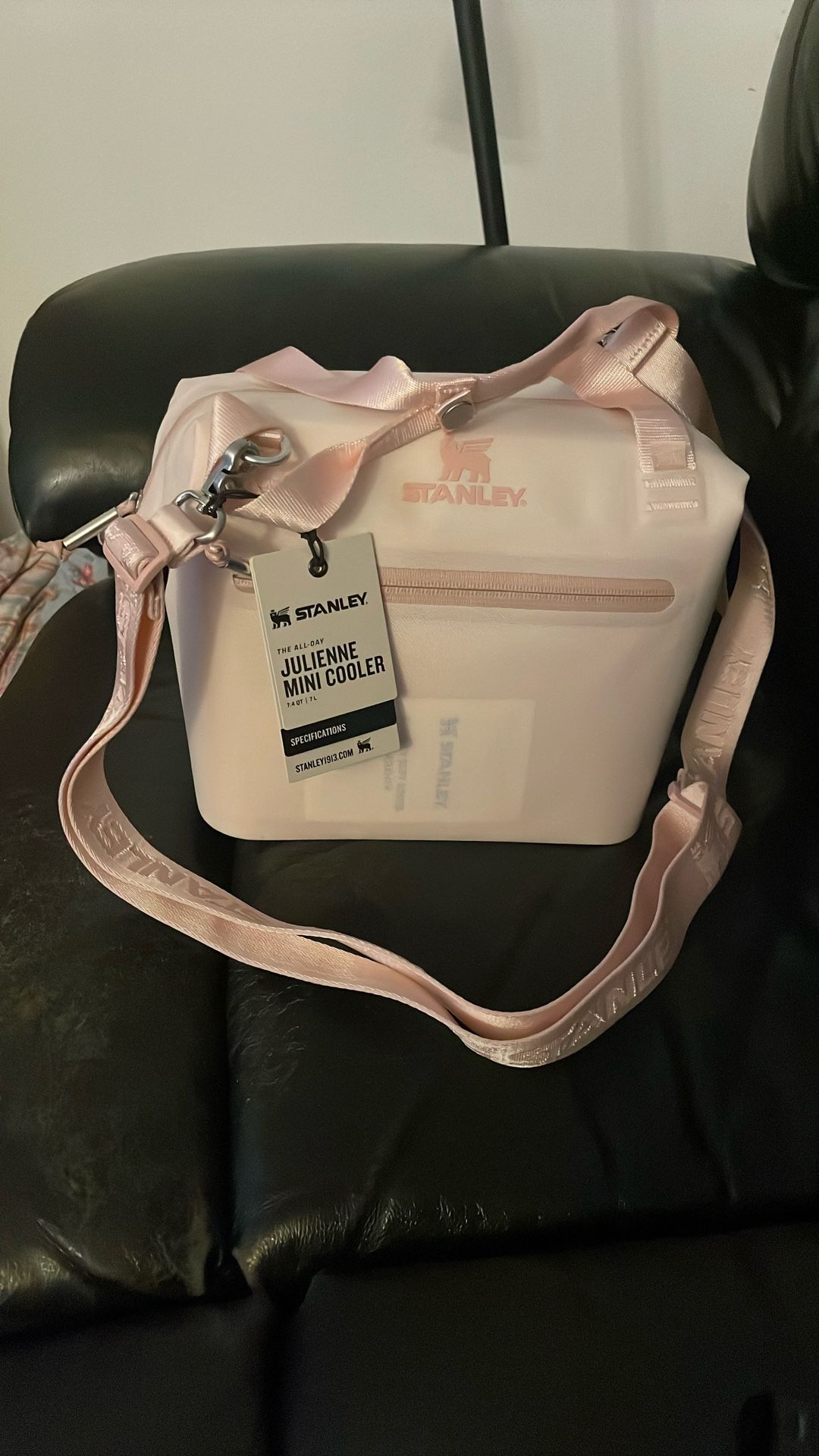 Stanley Julienne Mini Cooler - Lunch Pail 