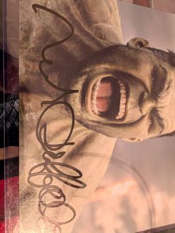 Mark Ruffalo Autograph 8x10 photo as Hulk.