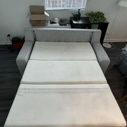 Restoration Hardware Sleeper Sofa