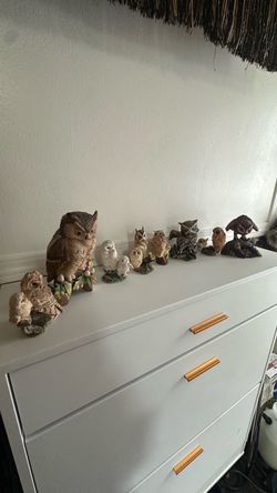 A group of approximately ten ceramic, porcelain, or bisque owl sculptures of various sizes and realistic or stylized poses. Style: The pieces appear t