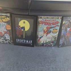 Spiderman Portrait Set. All Of Them