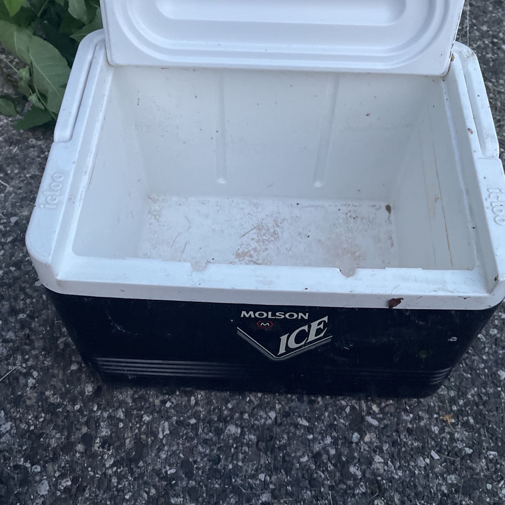 Cooler