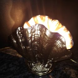 Mid-century Modern Ceramic Clam Shell-Shaped Parlor Table Lamp 