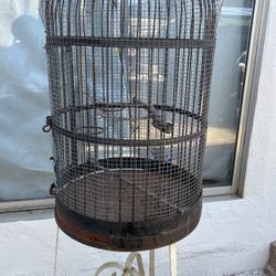 Bird Cage