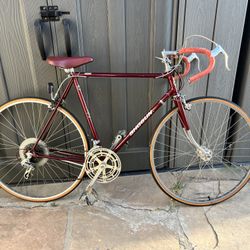 Vintage Shogun, 400 Lugged Steel Frame Special ST Tubing Shimano Altus Dia-Compe