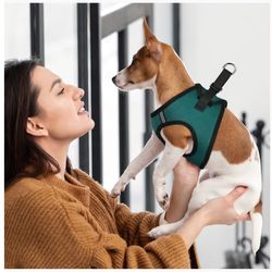 Dog Harness