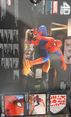 Spider 4D