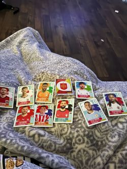 World Cup panini