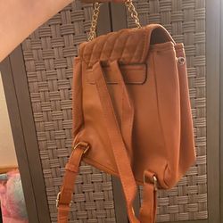 Brown Backpack 