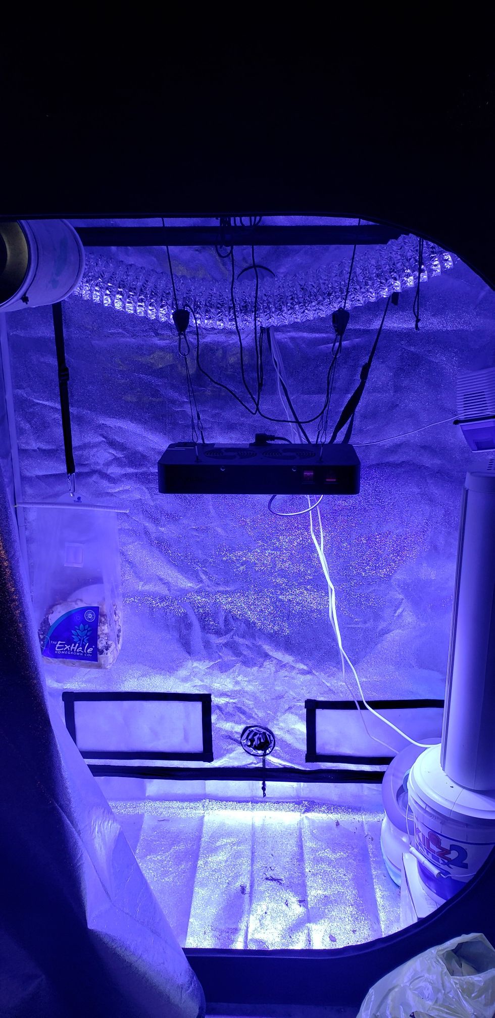 Grow tent and supplies