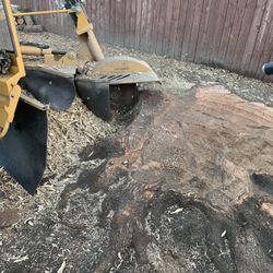 Stump Grinding