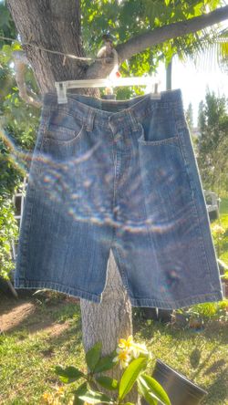 Size 31 Anchor blue jean shorts