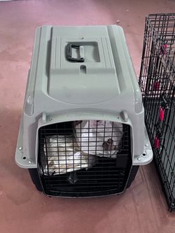 Pet Carrier Medium